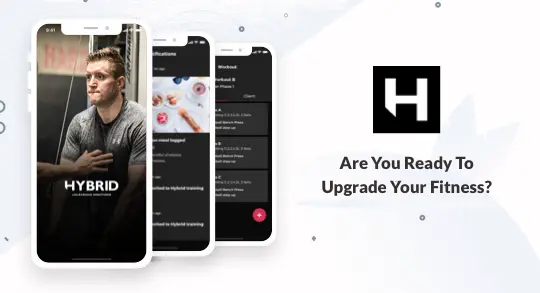 Hybrid MMA & Fitness's image